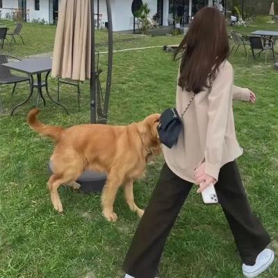 迷情纽约